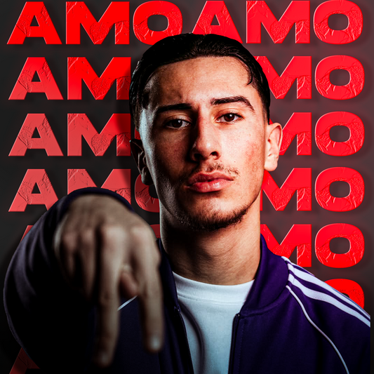 AMO Recording Template (FL Studio STOCK Plugins)