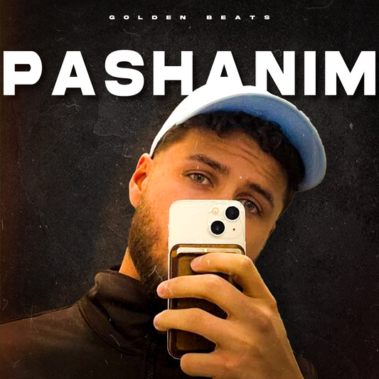 PASHANIM Vocal Template (Fruity Loops)
