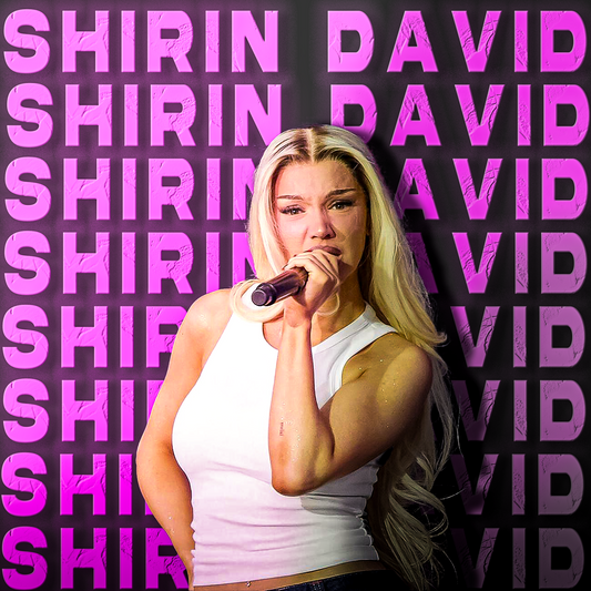 Shirin David MIXING Preset (Fruity Loops)